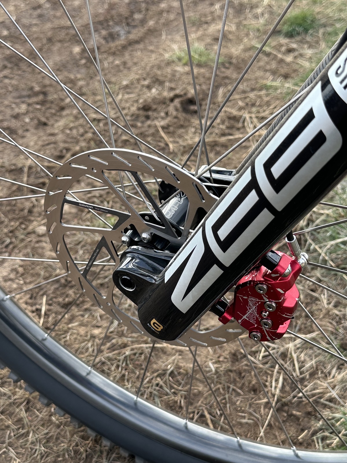 w4 Norco Sight 2024 4
